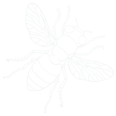Pestzero-kammerjäger-schädlingsbekämpfung