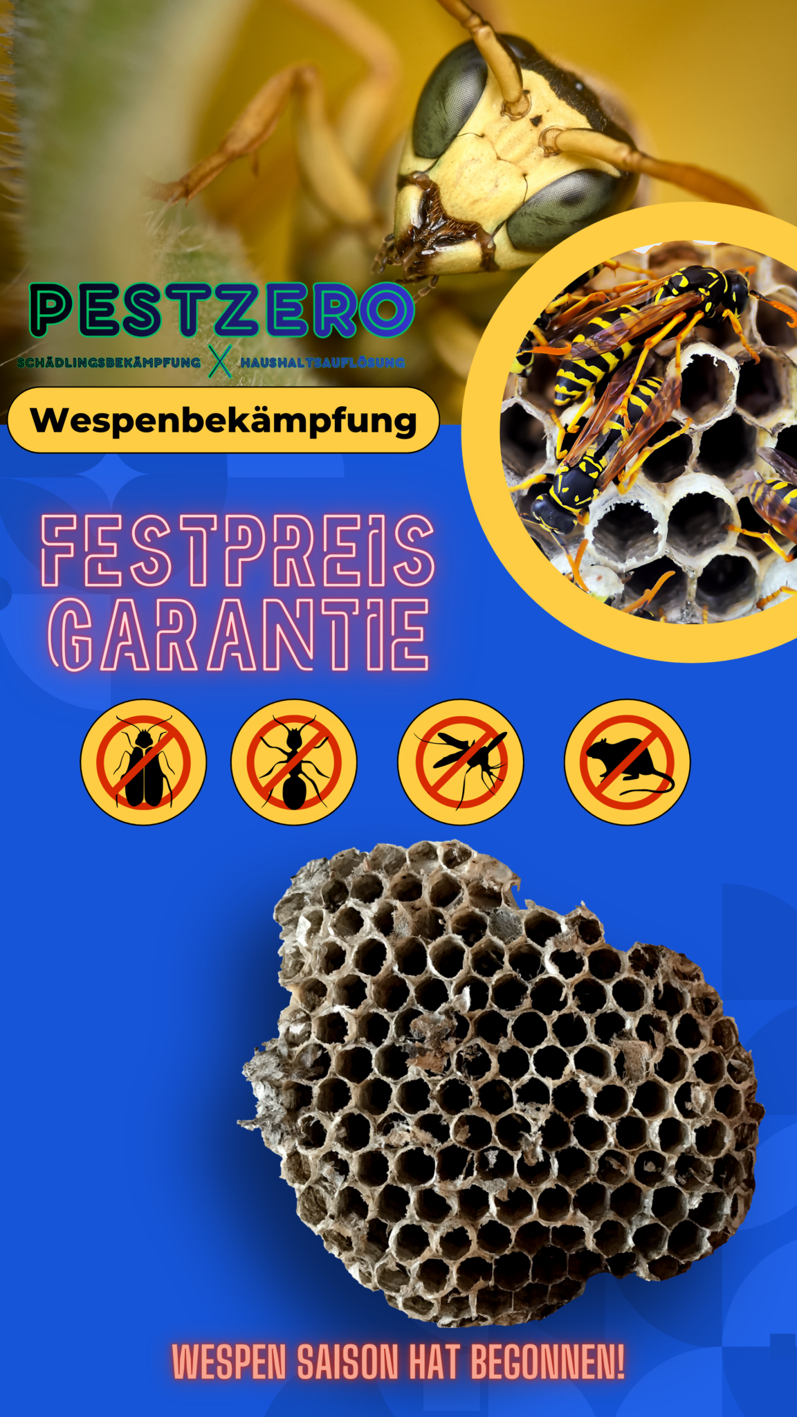 wespenbekämpfung-flyer-kammerjäger-pestzero